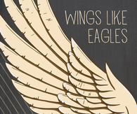 Wings like eagles