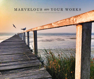 Marvelous are your works
