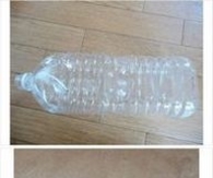 DIY Bottle Garden