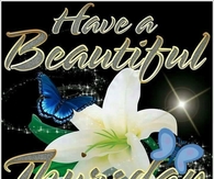 Have a beautiful Thursday
