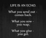 life is an echo