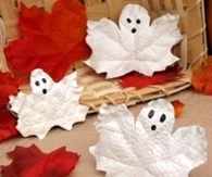 Ghost Leaves