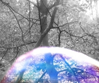 Looking through the Bubble