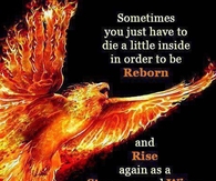 stronger and wiser