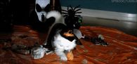 Cute Kitty Witch