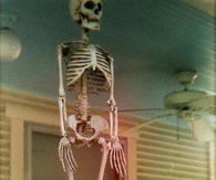 Hanging skeleton