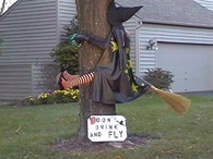 Don't Drink and Fly