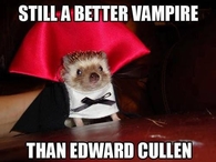 Still a better Vampire than Edward Cullen
