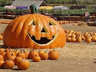 The Great Pumpkin!