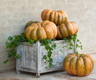 Simple but Elegant Fall Decoration