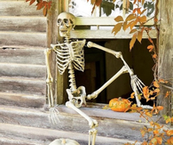 Skeleton Chillin on the Windowsill
