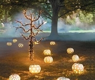Pretty Halloween LIghts