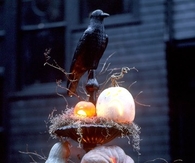 Spooky Gourdes on Pumpkins