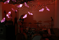 Bats decorations