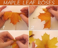 DIY Maple Leaf Roses