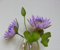 DIY Polymer Clay Lotus Flower