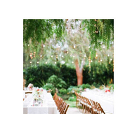 Wedding garden party