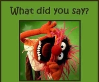 what did you say