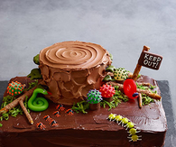 Chocolate Haunted Forest Cake