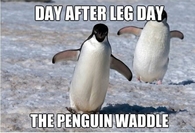 The penguin waddle