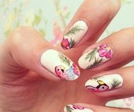 Parrot nails