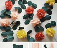 Pom Pom Vines