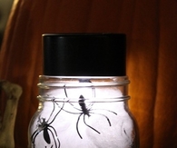 Halloween Solar Lights