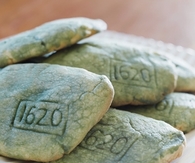 Plymouth Rock Cookies
