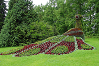 Peacock Garden Design