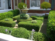 Small garden