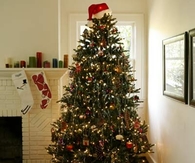 Childrens Christmas Tree