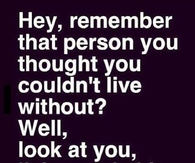 Look at you living and shit
