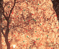 Bright christmas light decorations