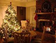 Lit up christmas tree