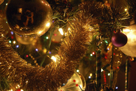 Christmas tree closeup