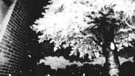 Falling snow