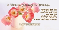 A wish for you on your birthday