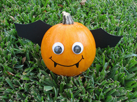 Cute Little Pumpkin Bat