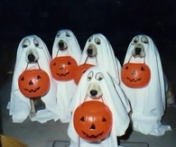 Trick or Treat