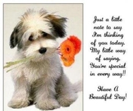 have a beautiful day
