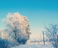 Winter Outdoor
