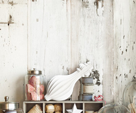 Decorative Organization