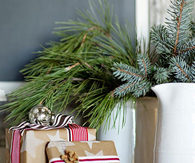 Merry Vignettes