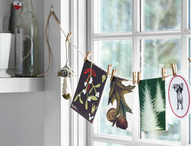 Hanging Display