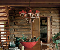 Cabin Fever