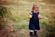 Little picker