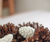 Paint dipped pinecones