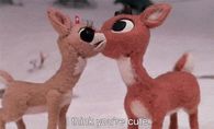 I think you are cute