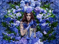 Woman and Blue Hydrangeas