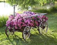 Wagon Filled with Petunias